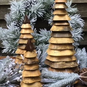 Spalted Maple Trees